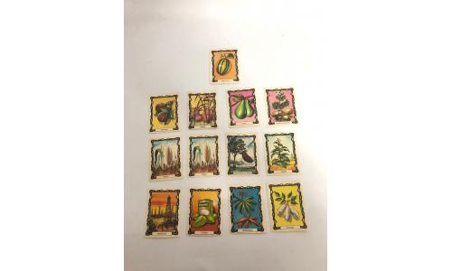 013x Figurinhas 1960 Escolar